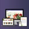 Website Development - Image 8